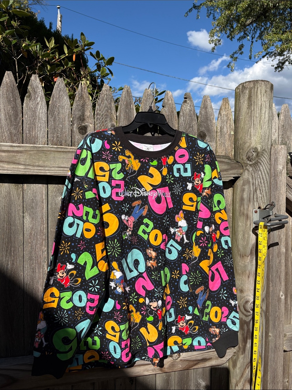 Walt Disney World large 2025 sweatshirt!